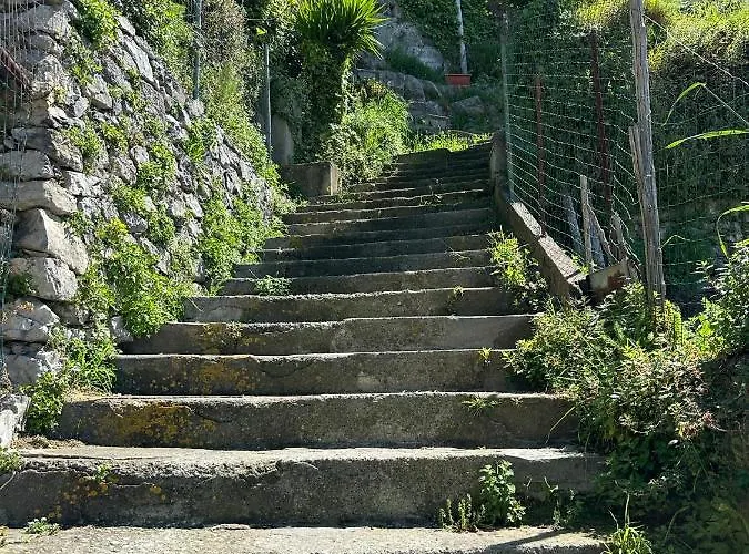 Mamma Rosa ベッド・アンド・ブレックファスト